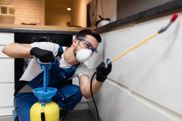 Professional Pest Control in Cadillac, MI