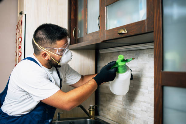 Best Insect Control  in Cadillac, MI
