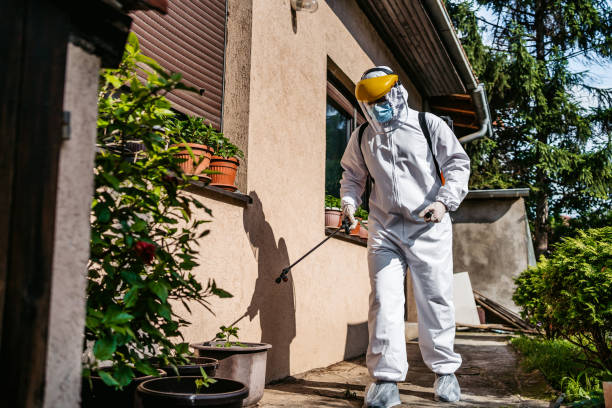 Best Wasp Removal Services  in Cadillac, MI
