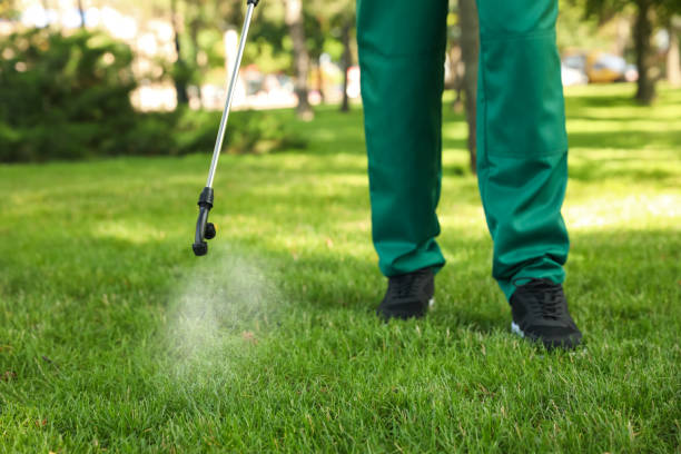 Best Commercial Pest Control Services  in Cadillac, MI
