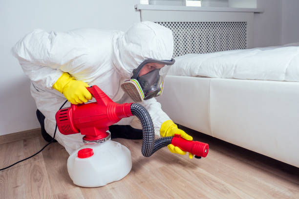 Best Mosquito Control Services  in Cadillac, MI