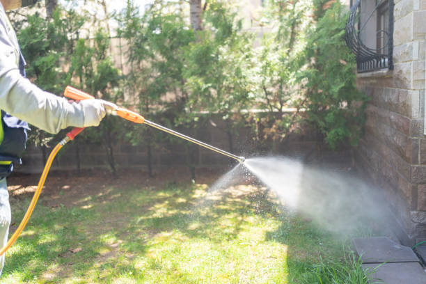 Best Local Pest Control Services  in Cadillac, MI
