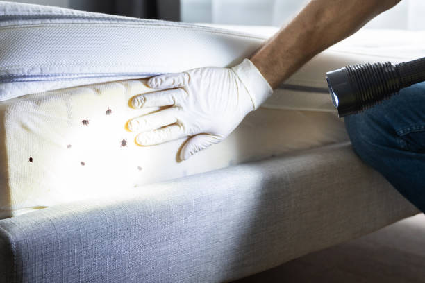 Best Best Pest Control Companies  in Cadillac, MI